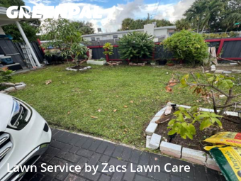 Grass Cut nearby Dania Beach, FL, 