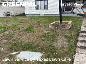 Lawn Mowin San Antonio,78202,Lawn Mowing Service by Texas Lawn Care, work completed in Jan , 2026