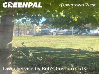 Grass Cut nearby St. Louis, MO, 