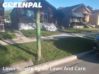 Yard Mowing nearby Chicago, IN, 