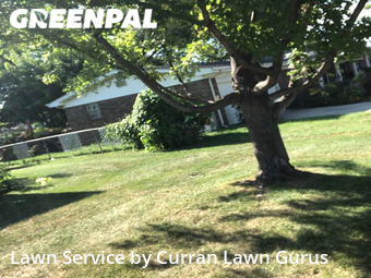 Yard Mowing nearby O'fallon, IL, 