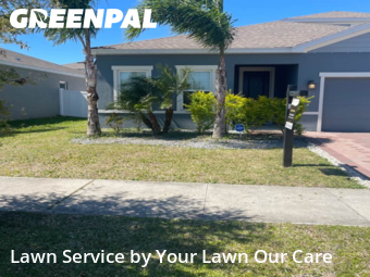 Lawn Cut nearby Davenport, FL, 