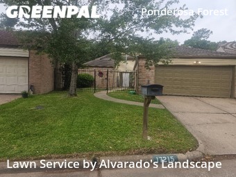 Grass Cut nearby Houston, TX, 