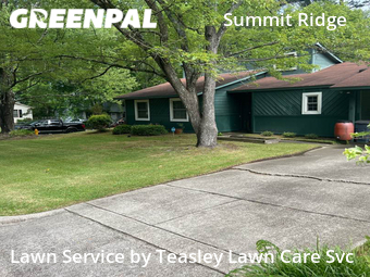 Yard Cutting nearby Raleigh, NC, 