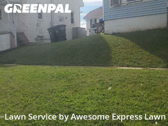 Lawn Services in Carbondale, 62901, Lawn Work by Awesome Express Lawn, work completed in Nov , 2025