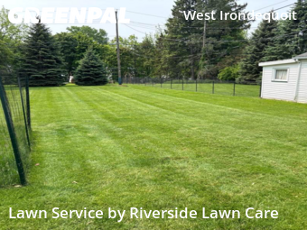Grass Cut nearby Irondequoit, NY, 
