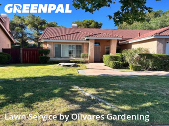 Work completed by grass-cutting-businesses-in-Palmdale-CA
