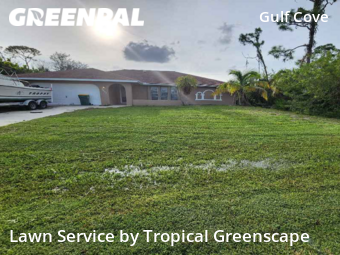 Lawn Service nearby Port Charlotte, FL, 