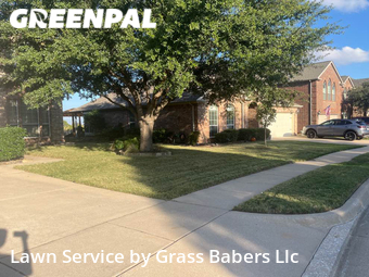 Grass Cut nearby Fort Worth, TX, 