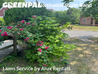 Lawn Mowing Service nearby South Bend, IN, 