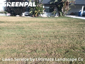 Lawn Care nearby Brandon, FL, 