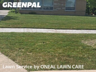 Lawn Mow nearby Elmhurst, IL, 