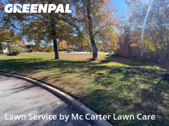 Yard Mowing nearby Taylors, SC, 