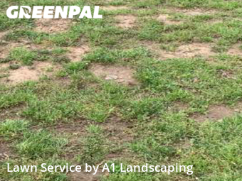 Lawn Mowing nearby Bentonville, AR, 
