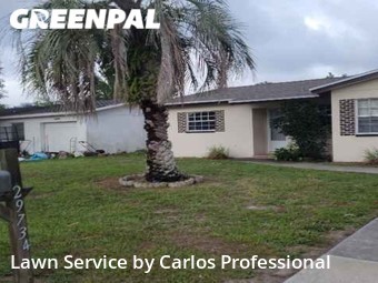 Lawn Mowing nearby Clearwater, FL, 