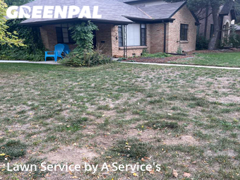 Grass Cutting nearby Denver, CO, 