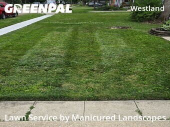 Yard Cutting nearby Columbus, OH, 