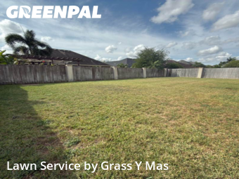 Yard Cutting in Brownsville, 78526, Backyard Mowing by Grass Y Mas , work completed in Nov , 2025