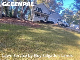 Lawn Work in Suwanee, 30024, Lawn Management by Eloy Salgado's Lands, work completed in Nov , 2025