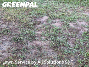 Lawn Cutting nearby Poinciana, FL, 