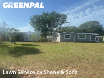 Grass Cut nearby St. Petersburg, FL, 