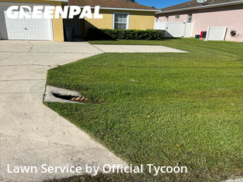 Lawn Mow nearby Palm Coast, FL, 