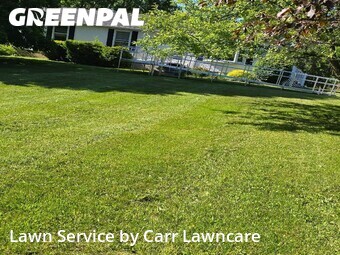 Yard Cutting nearby Palmyra, NY, 
