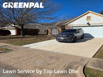 Lawn mowed in Rowlett, 75089