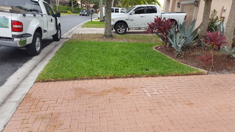 Lawn Mowing Contractor in Tamarac, FL, 33319