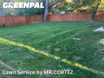 Weed Trimming in Silver Spring, 20902, Grass Services by MR.CORTEZ, work completed in Nov , 2025