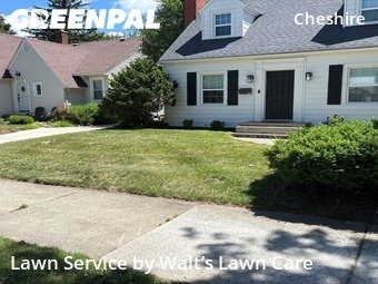 Grass Cut nearby Grand Rapids, MI, 