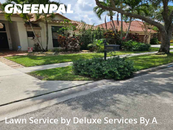 Lawn Cutin Plantation,33322,Lawn Mowing by Deluxe Services By A, work completed in Dec , 2025