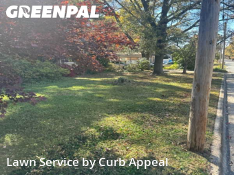 Backyard Mowing in Concord, 28025, Lawn Care by Curb Appeal, work completed in Nov , 2025