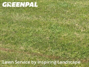Yard Mowing nearby Castle Pines, CO, 