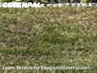 Lawn Service nearby Davie, FL, 