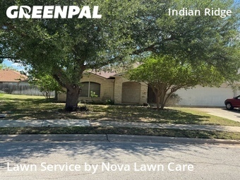 Lawn mowed in Round Rock, 78665