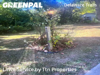 Grass Cutting nearby Indianapolis, IN, 