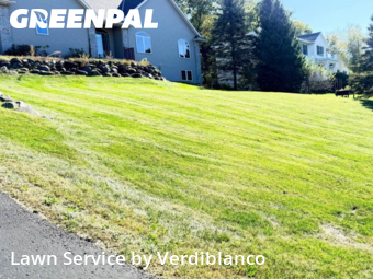 Yard Mowing nearby Middleton, WI, 