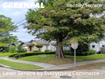 Yard Cutting nearby New Orleans, CO, 