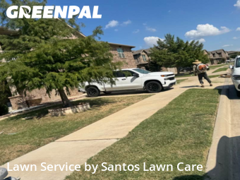 Grass Cut nearby Fort Worth, TX, 