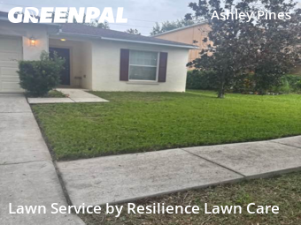 Lawn Care Service nearby Wesley Chapel, FL, 