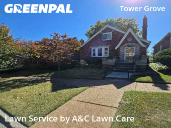 Yard Cutting nearby St. Louis, MO, 