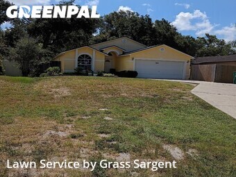 Lawn Cut nearby Clearwater, FL, 