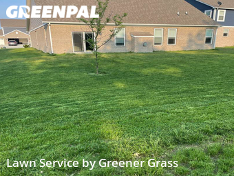Lawn Cut nearby Whitestown, IN, 