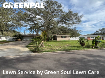 Lawn Mowing Service nearby Temple Terrace, FL, 