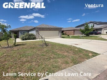 Lawn Cut nearby San Antonio, TX, 