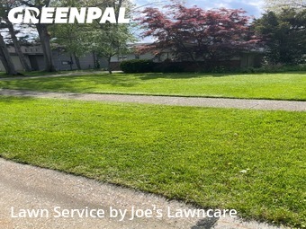 Yard Mowing nearby Lyndhurst, OH, 