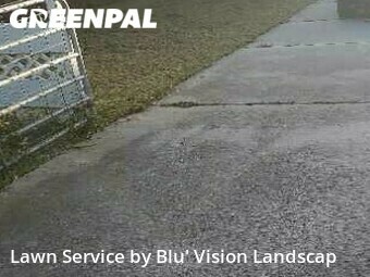 Grass Cut nearby Tampa, FL, 