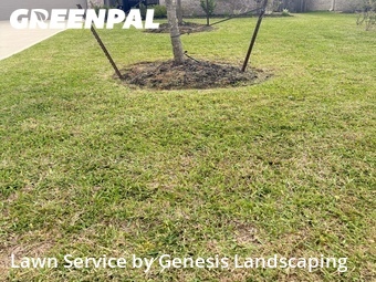 Lawn Cutting nearby Conroe, TX, 