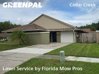 Lawn Mow nearby Tampa, FL, 